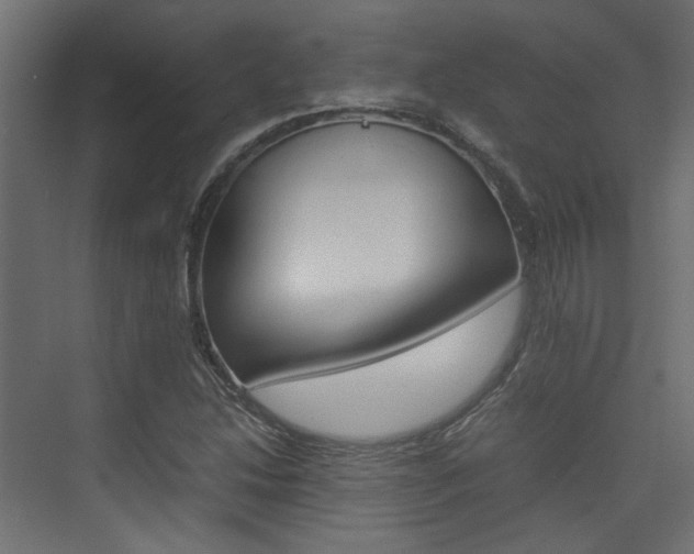 X0000074231214200608250807