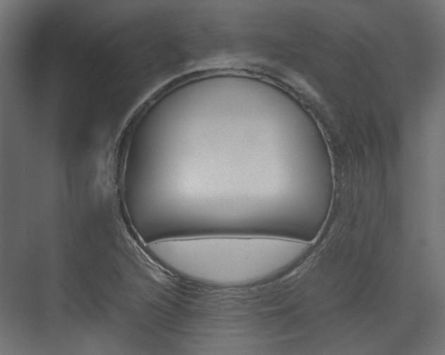 X0000074231216200608250808