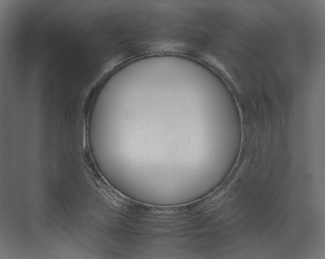 X0000074231219200608250808