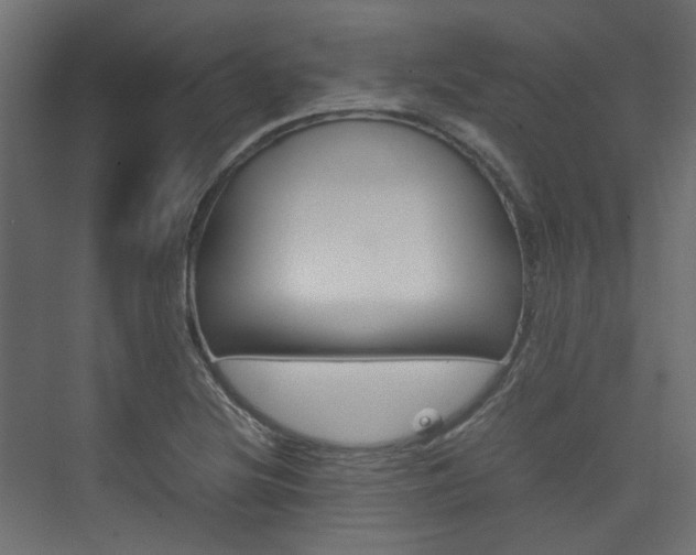 X0000074231220200608250808