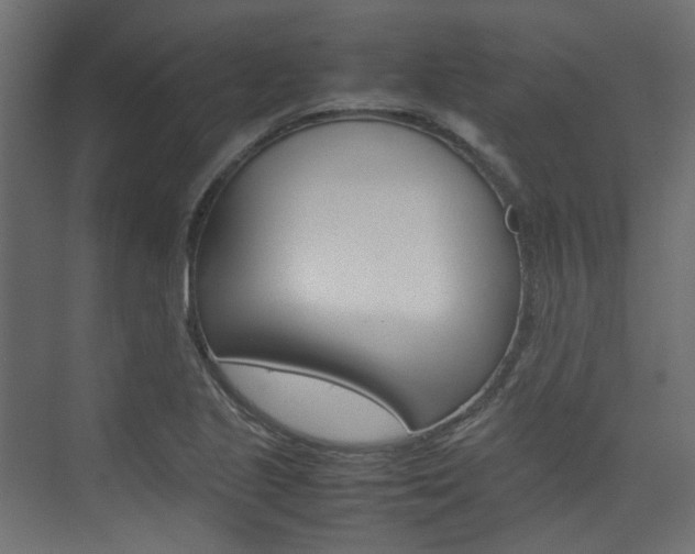 X0000074231221200608250808