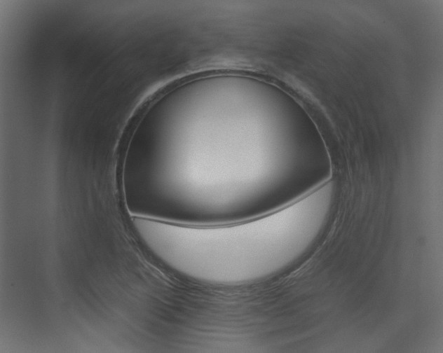 X0000074231222200608250808