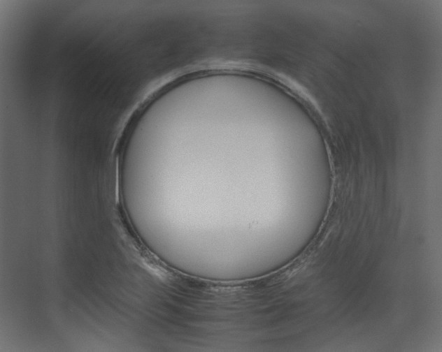 X0000074231223200608250808