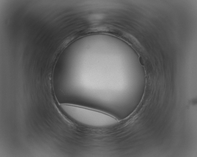 X0000074231225200608250808
