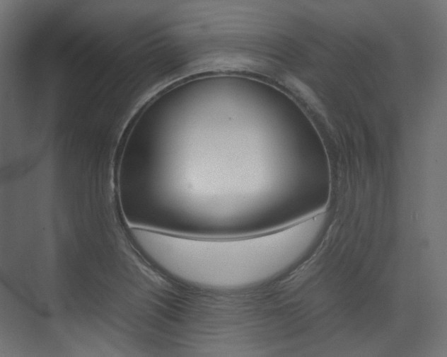X0000074231226200608250808