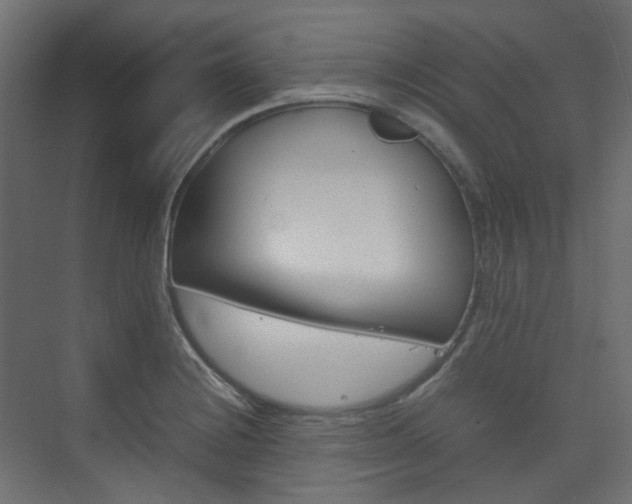X0000074231228200608250808