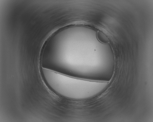 X0000074231229200608250808