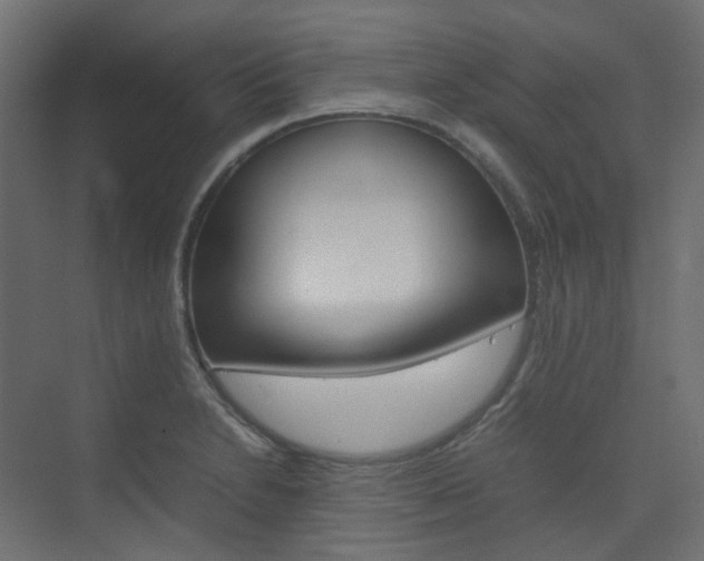 X0000074231230200608250808