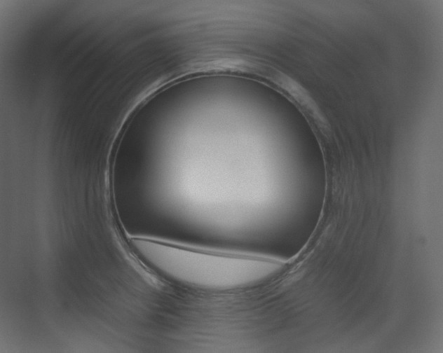 X0000074231234200608250808
