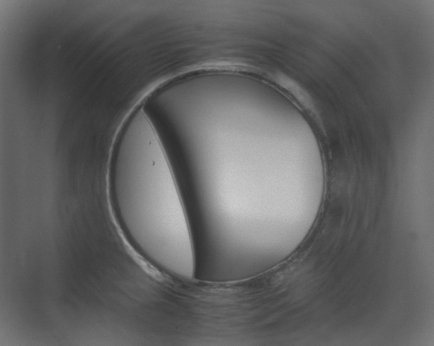 X0000074231237200608250808