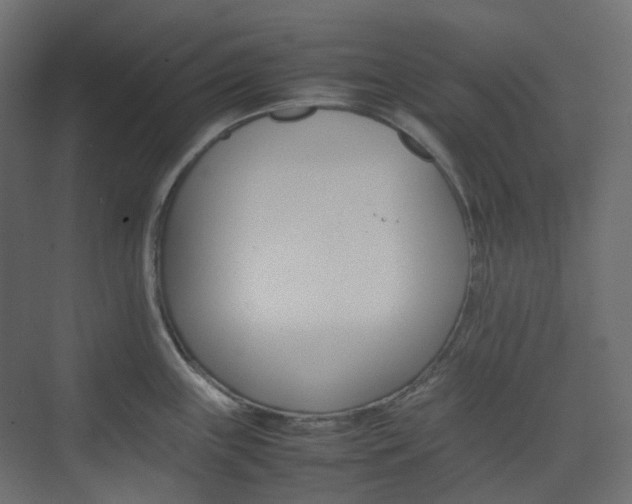X0000074231243200608250808