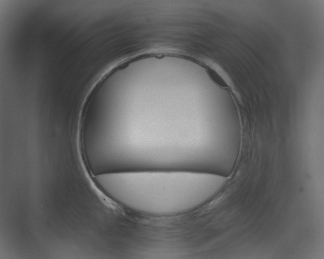 X0000074231245200608250808