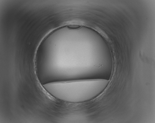 X0000074231248200608250808