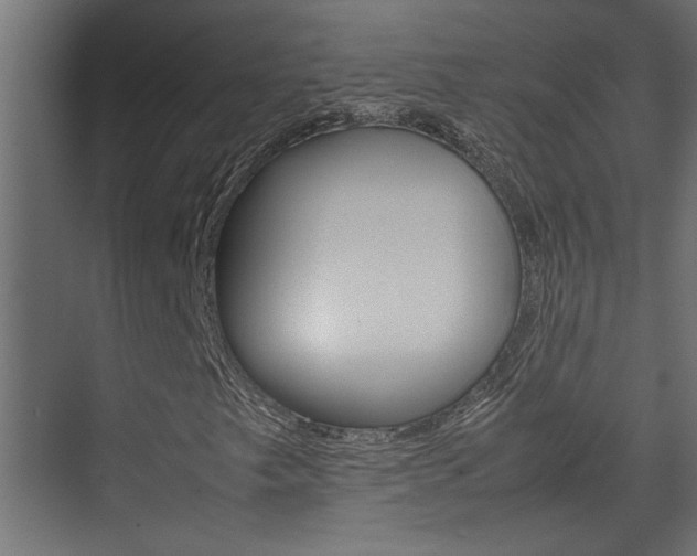 X0000074231249200608250807