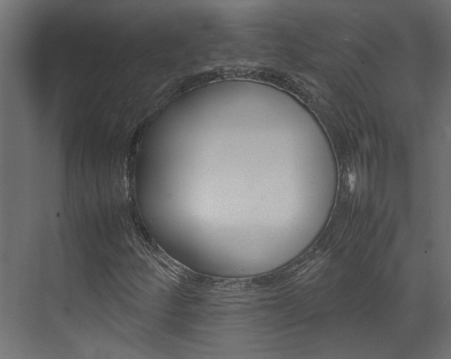 X0000074231252200608250807