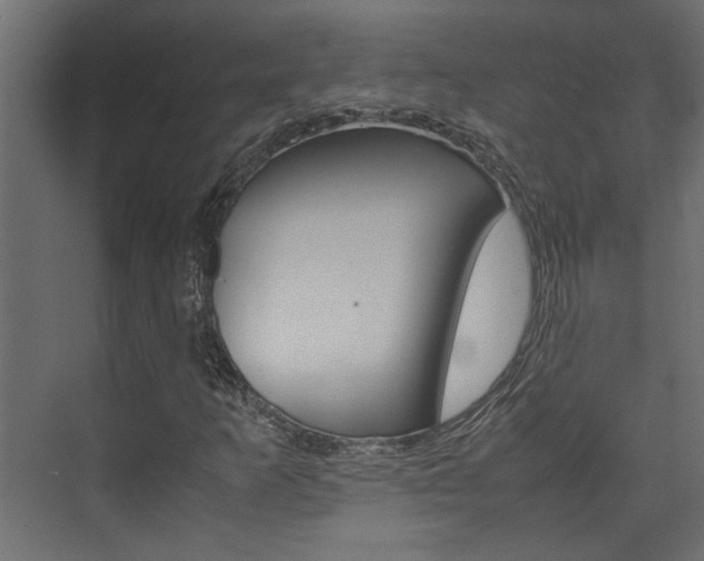 X0000074231253200608250807