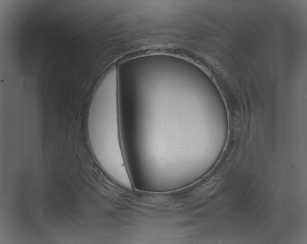 X0000074231257200608250807