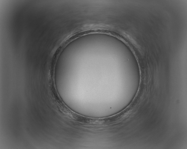 X0000074231261200608250807