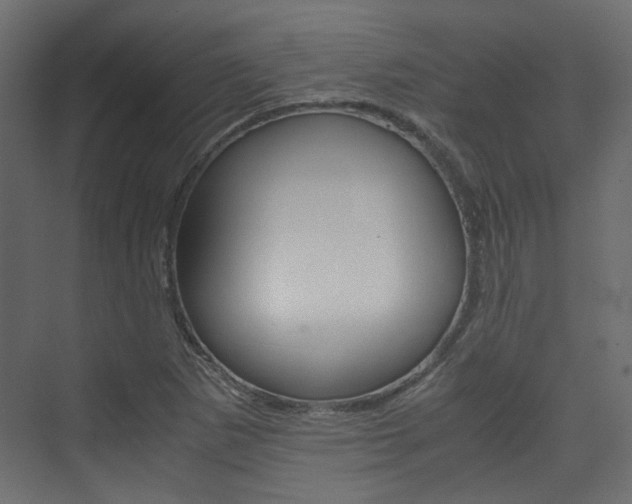 X0000074231265200608250807