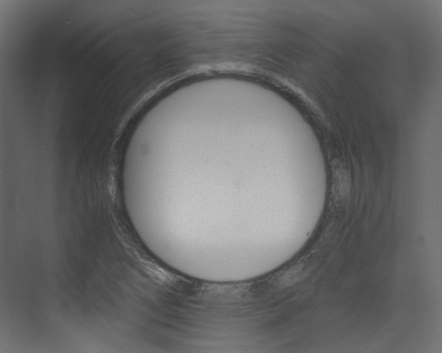 X0000074231266200608250807