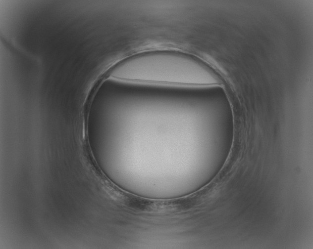 X0000074231269200608250807