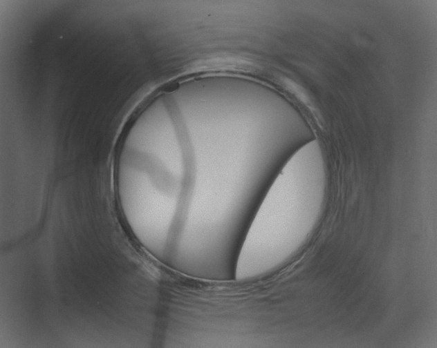 X0000074231275200608250807
