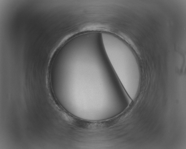X0000074231277200608250807