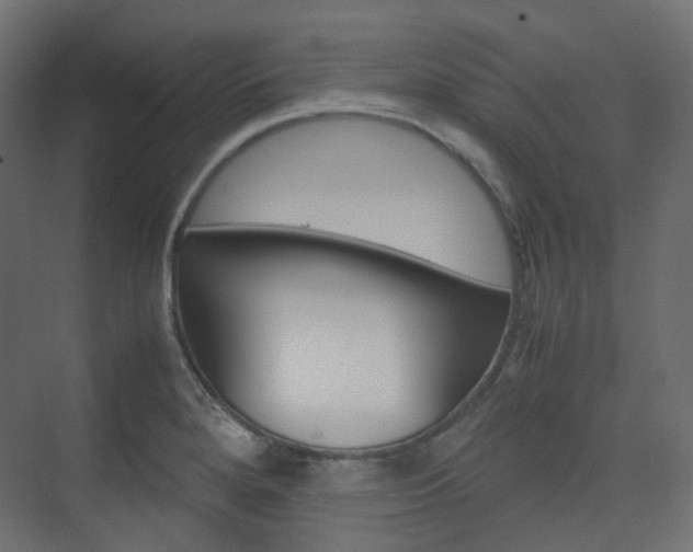 X0000074231280200608250807