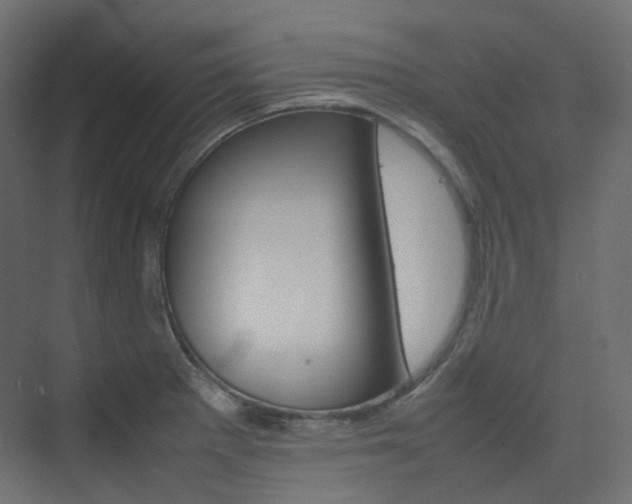X0000074231281200608250807