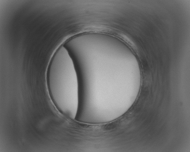 X0000074231283200608250807