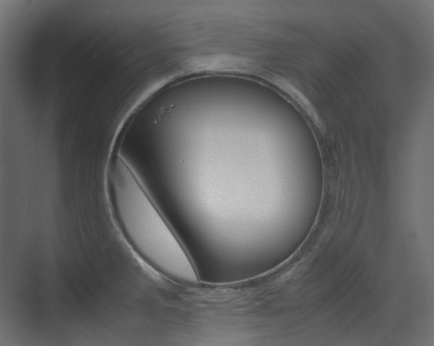 X0000074231285200608250807