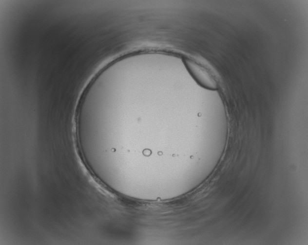 X0000074231287200608250807
