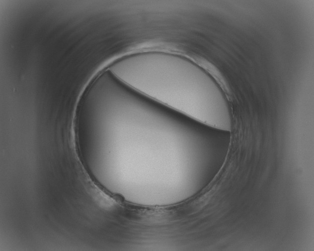 X0000074231288200608250807