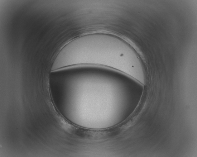 X0000074231289200608250807