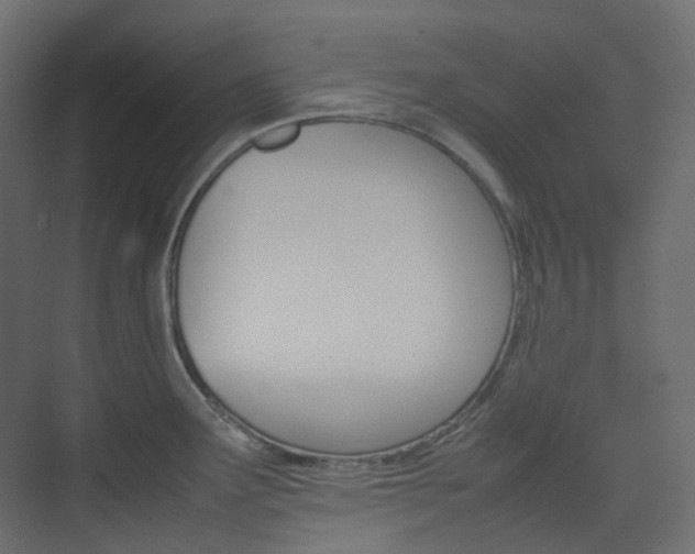 X0000074231291200608250807