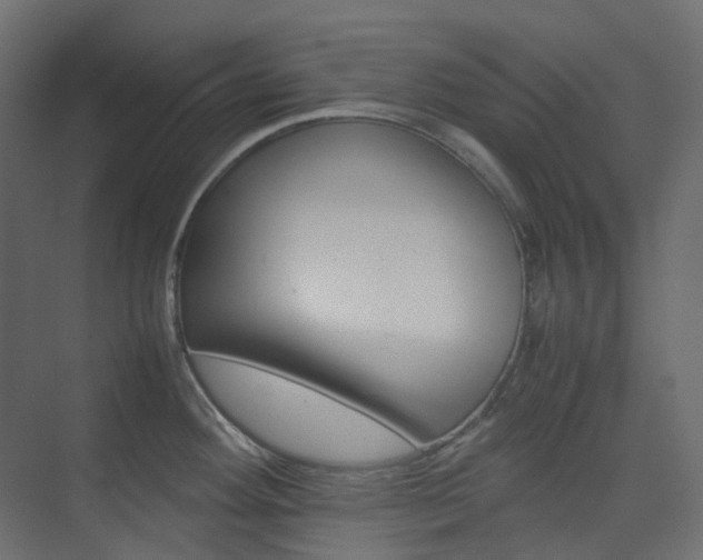 X0000074231292200608250807