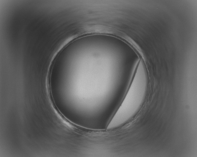 X0000074231293200608250806