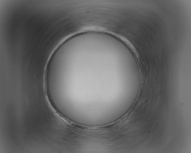 X0000074231295200608250806
