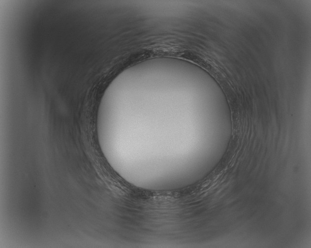 X0000074231297200608250806