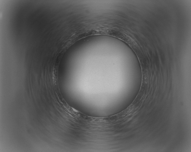 X0000074231298200608250806