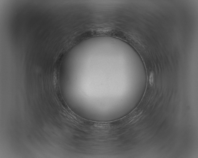 X0000074231299200608250806