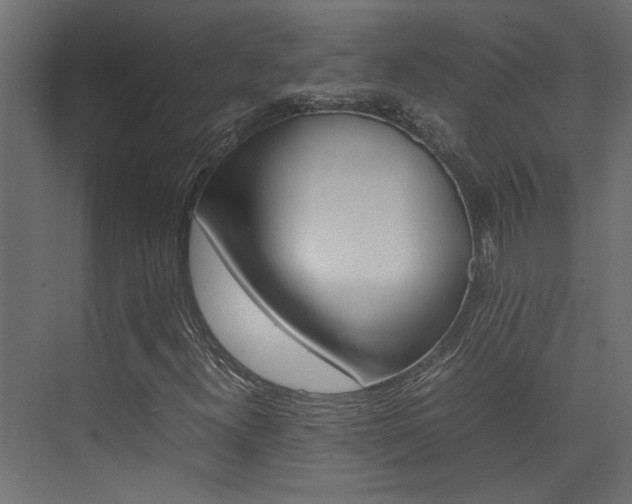 X0000074231300200608250806