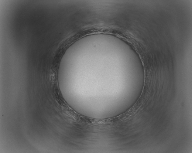 X0000074231302200608250806