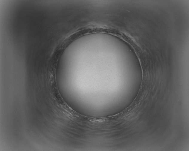 X0000074231303200608250806