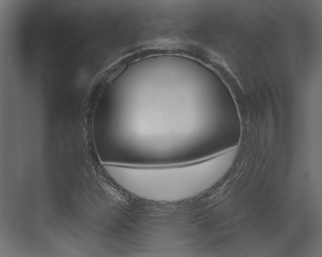 X0000074231304200608250806