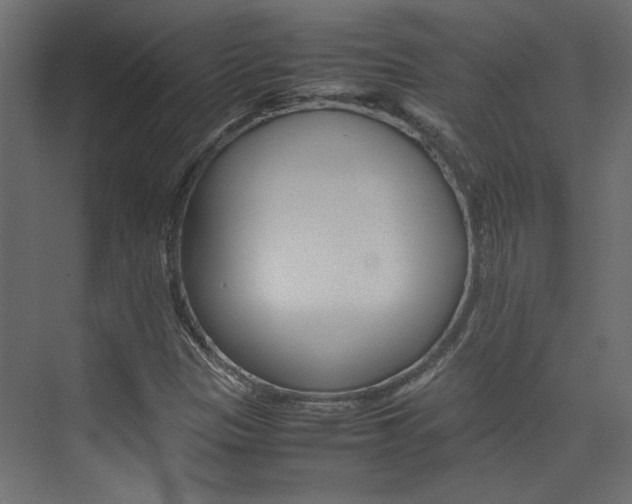X0000074231305200608250806