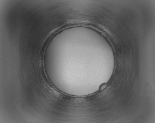 X0000074231306200608250806