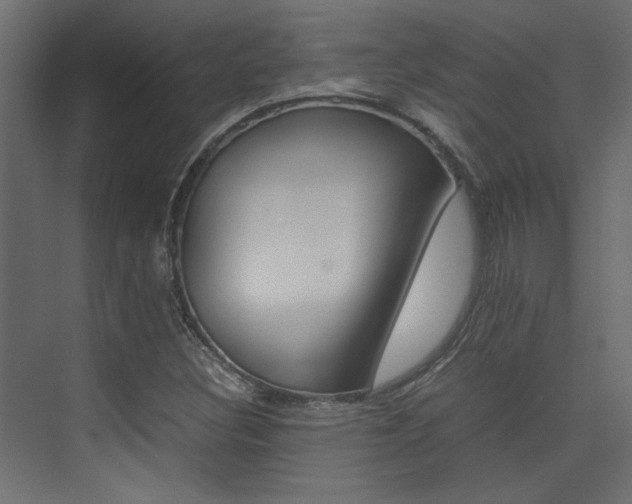X0000074231308200608250806