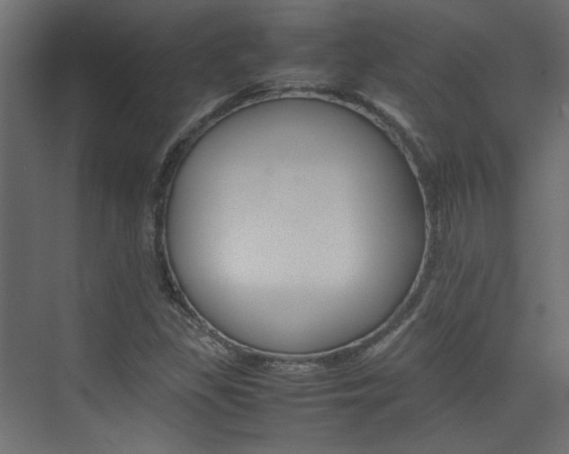 X0000074231309200608250806