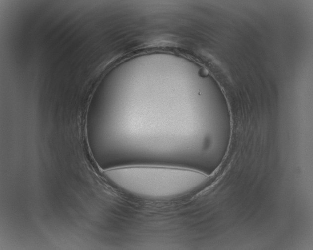 X0000074231313200608250806